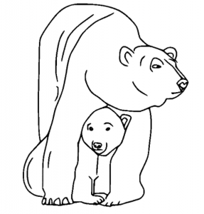 Baby Polar Bear Hiding Under Moms Tummy Coloring Pages