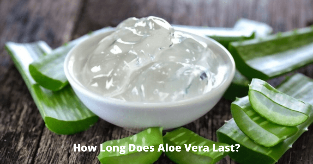 How Long Does Aloe Vera Last?