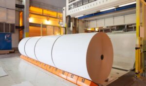 How to Choose the Best Asia Pulp and Paper