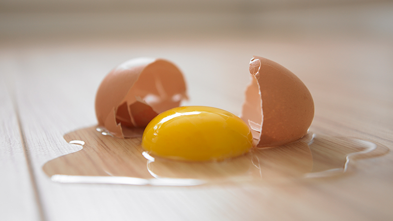 Are broiler eggs safe to eat