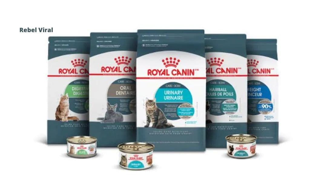 Royal Canin Hairball Cat Food Reviews and Ingredients
