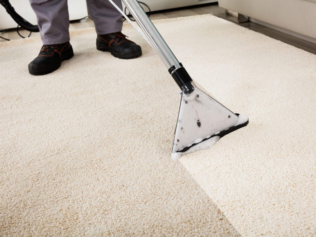 carpet cleaning London services