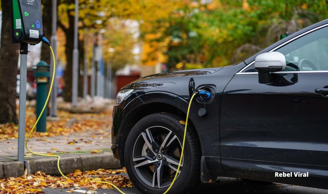 Why Are Electric Cars Bad for the Economy And Society?