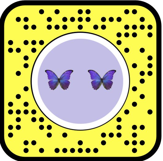 How Butterflies Lens on Snapchat