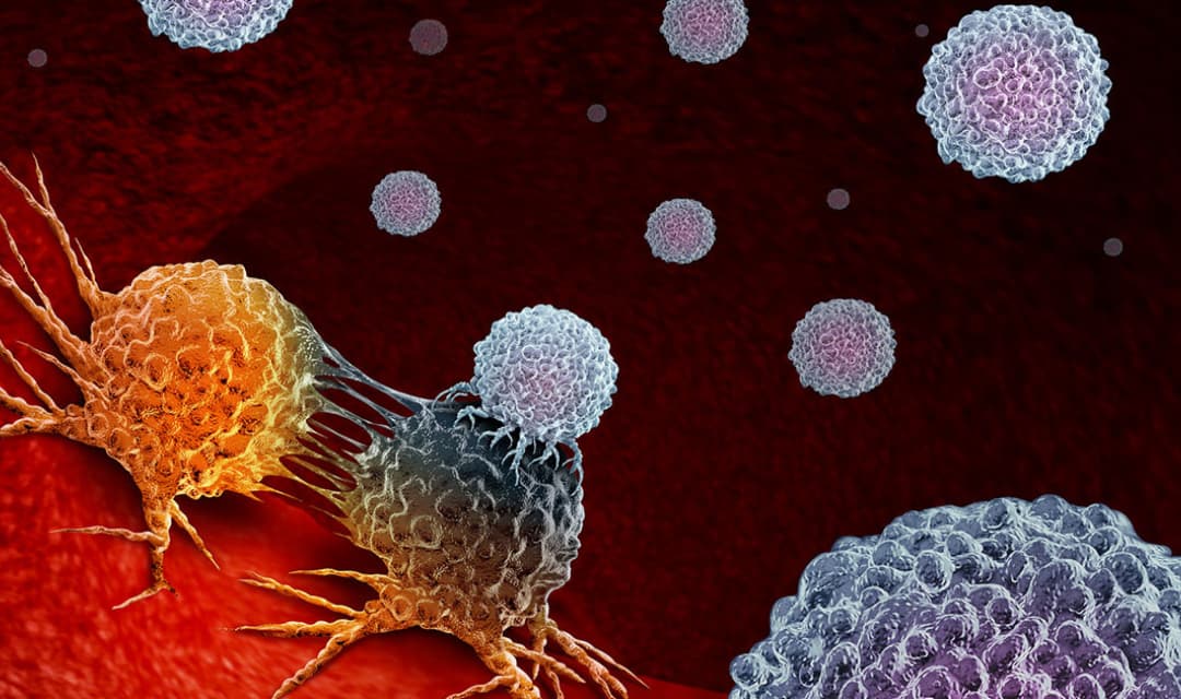 Try Immunotherapy to Fight Against Cancer
