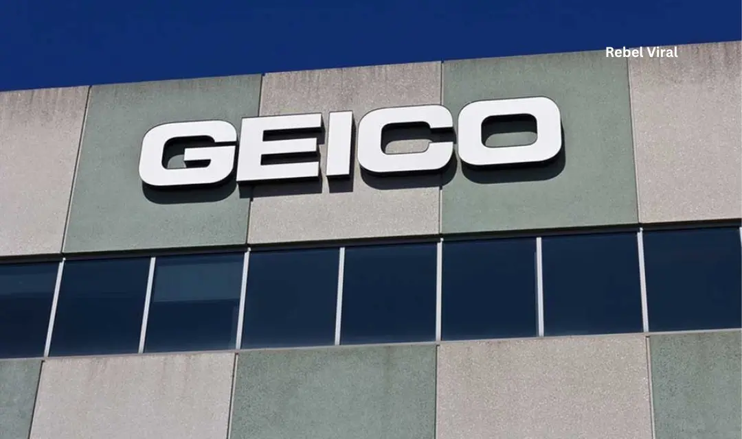 GEICO Commercials Original Business Model