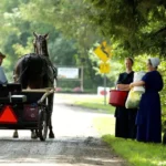 Why Do the Amish People Not Use Modern Technology in 2023?