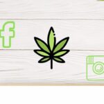 What are the Best Marketing Strategies for the Cannabis Business?