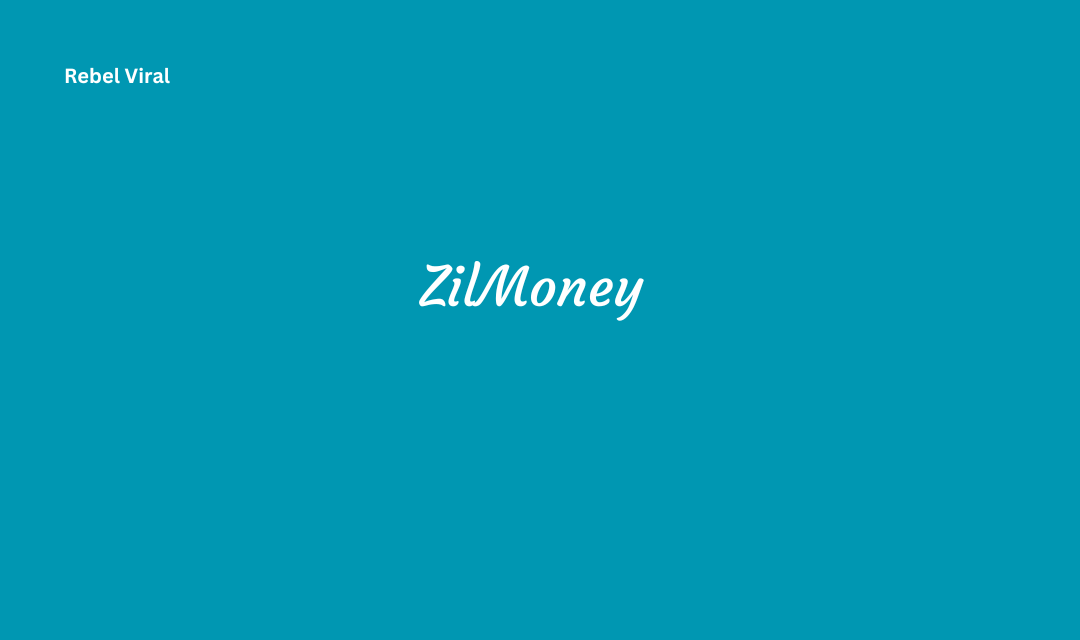 ZilMoney Key Features Integration Security and Data Protection