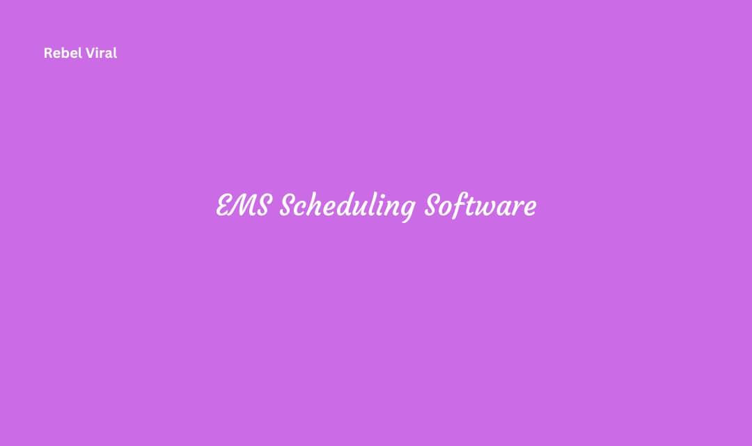 Ems scheduling software compliance integration and access
