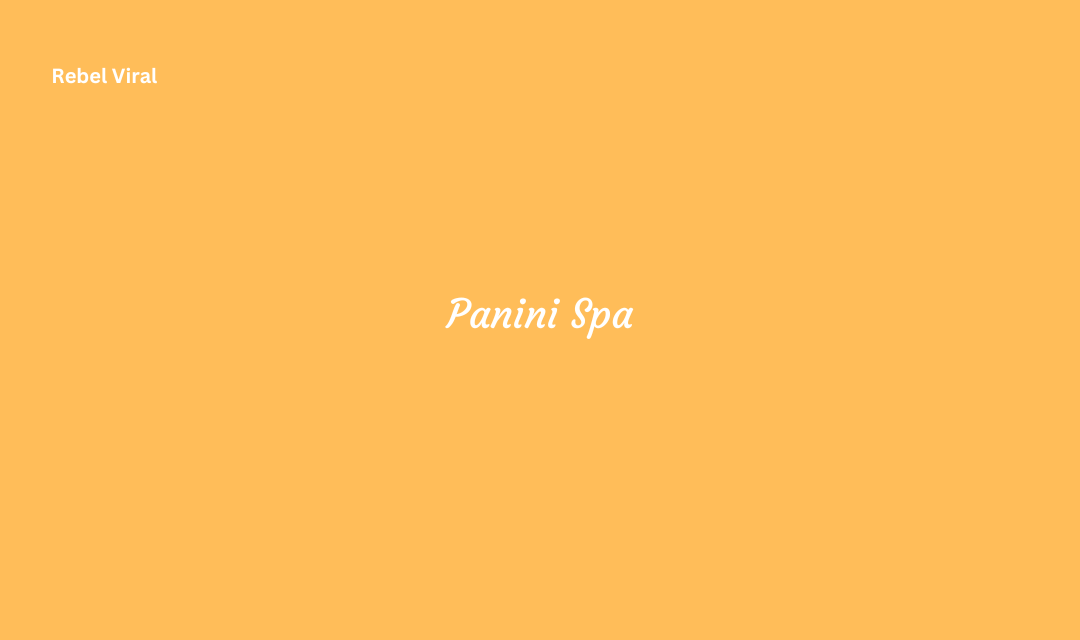 Panini Spa Products Technology and Solutions