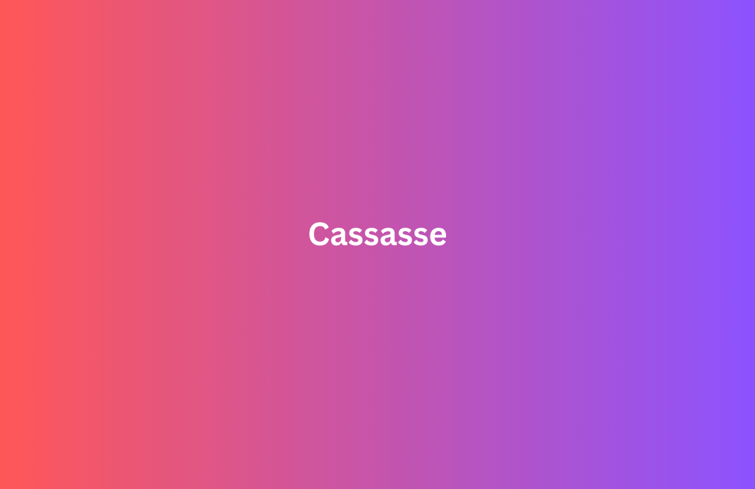 Cassasse Unlocking the Culinary Journey of Cassasse